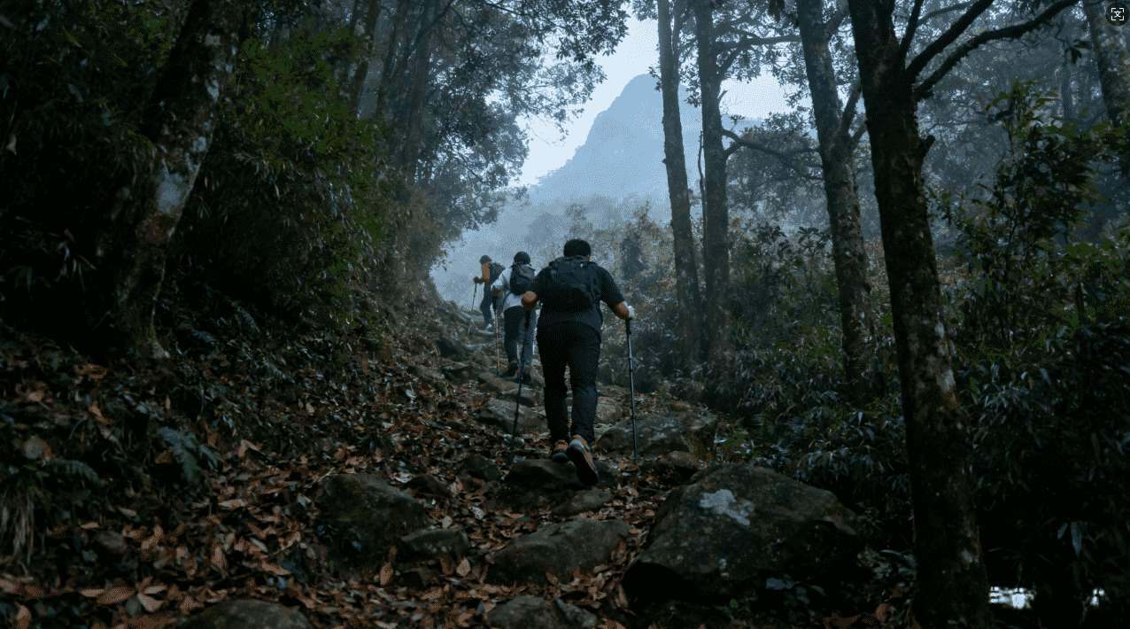 袋鼠加速器修复方案及常见问题排查